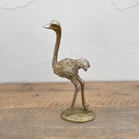 Struisvogel goud